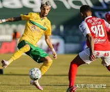 关于法兰克福遭遇连败，降级危机日益加剧的信息